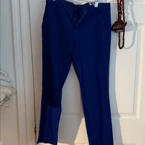 Banana Republic Women's Blue Dress Pants
